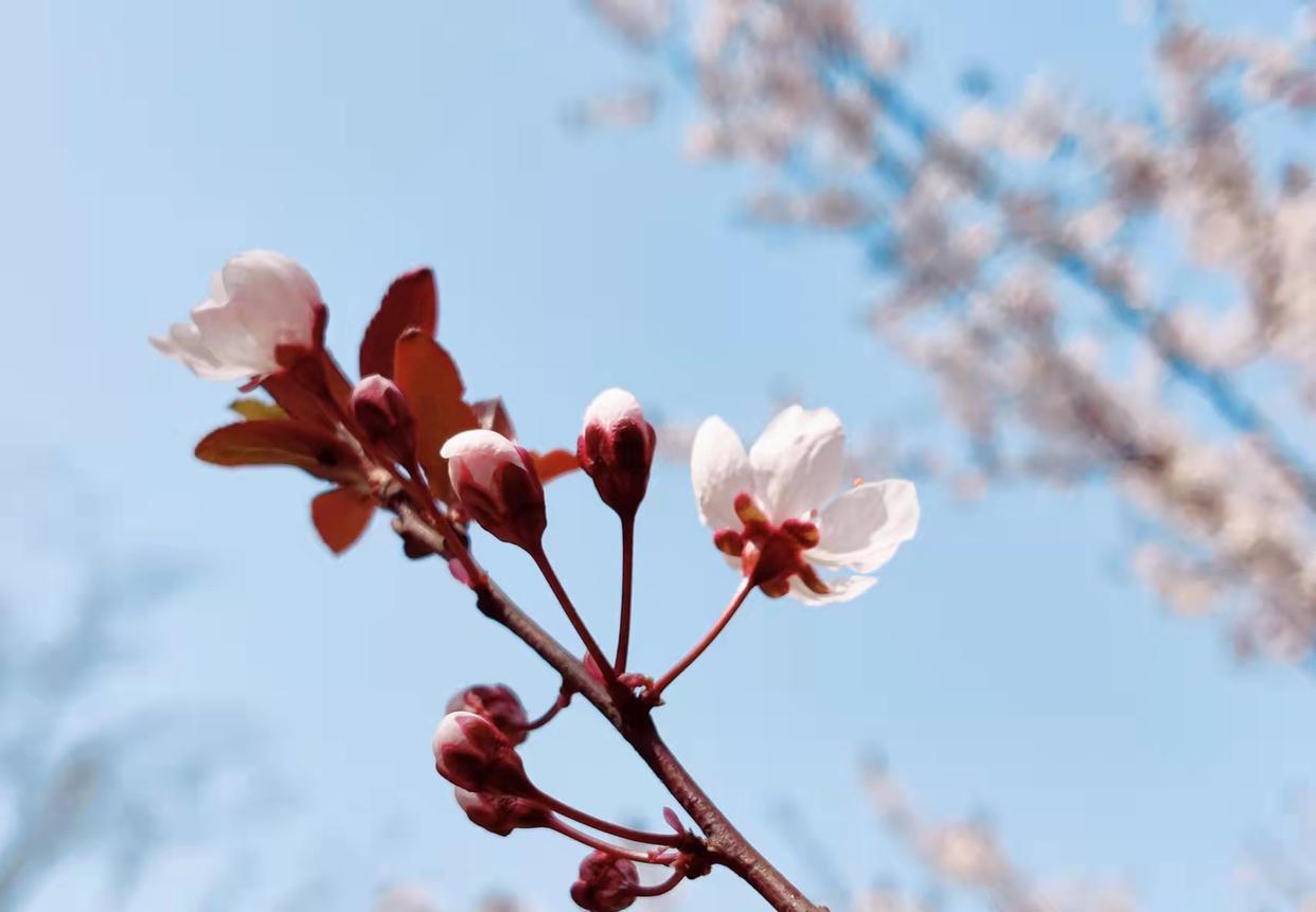 遵义|在公司死磕10 年的人,后来都怎么样了?