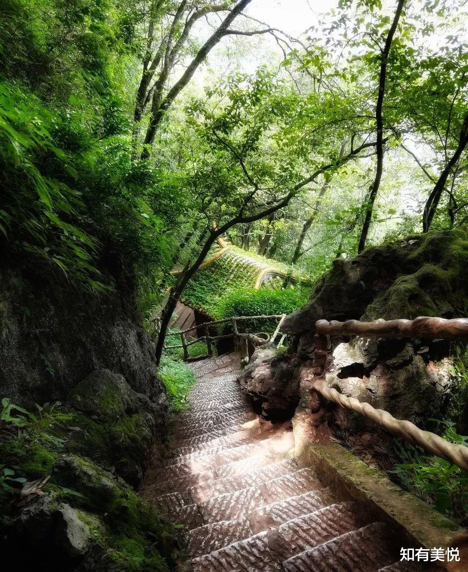 旅行|国内16个省级森林公园，城市的“绿色之肺”，你去过几个呢？