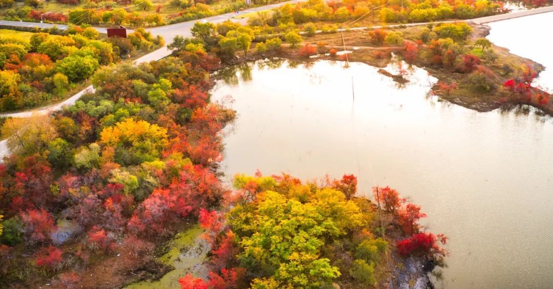 长白山|东北的秋天多诱人!这个秋天,来东北看看人间仙境