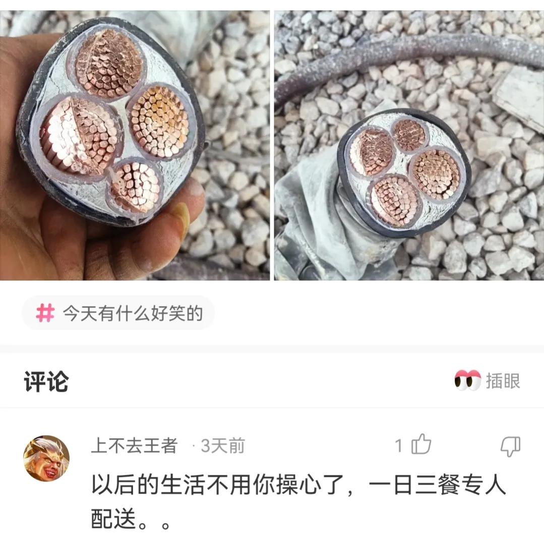 神回复,为什么很多人家的厕所都要贴这种瓷砖?