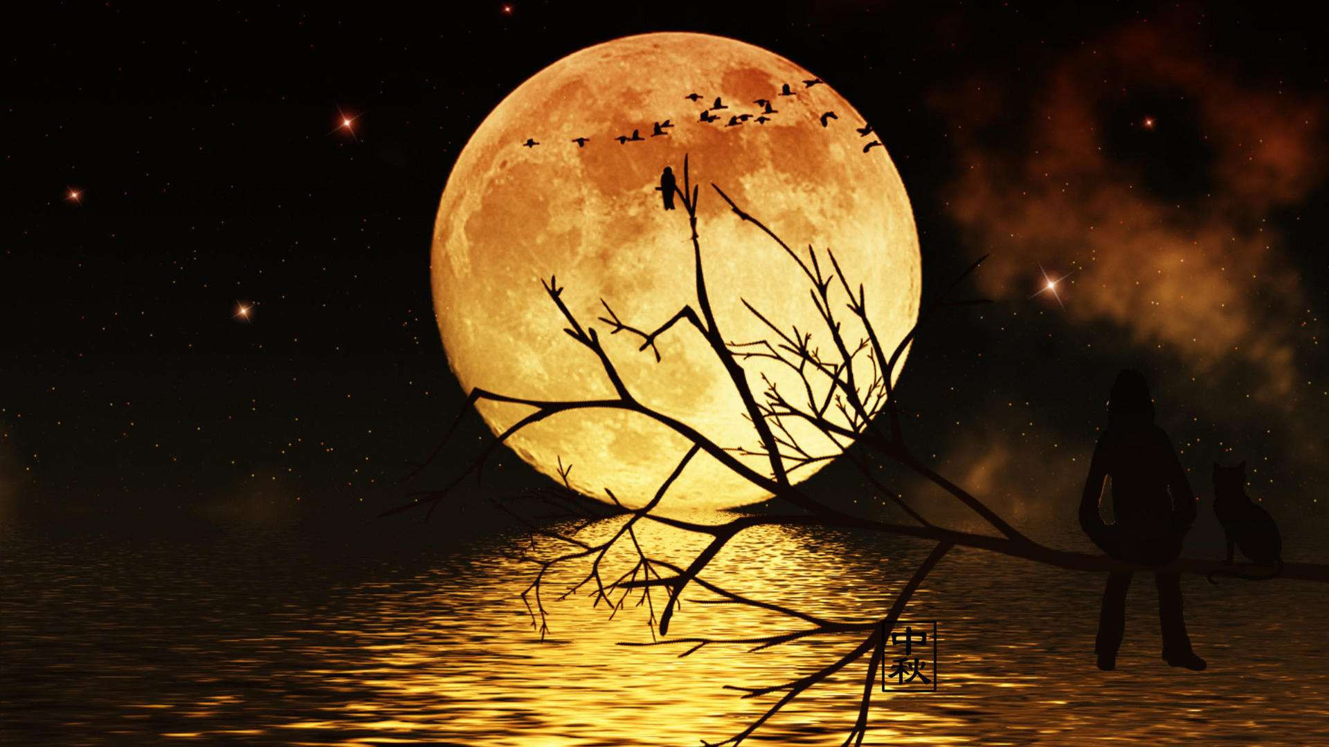 电影|骨王：冒险者飞飞一战成名