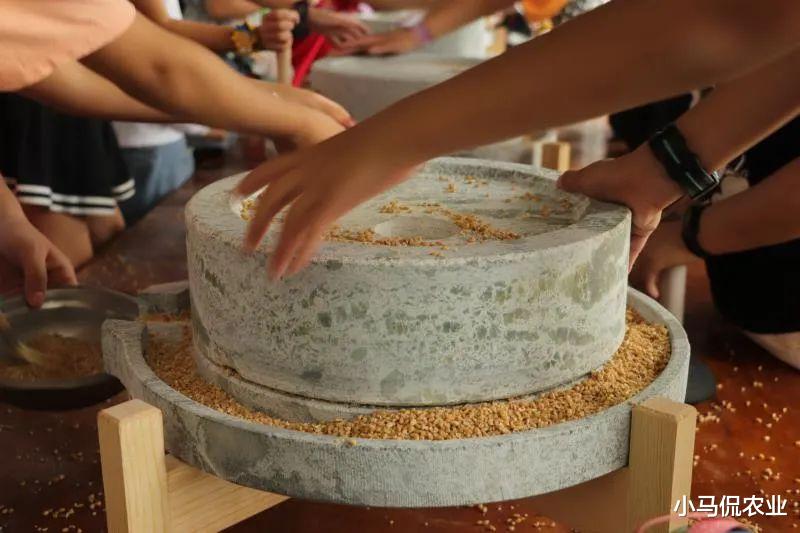 沈阳|夫妻花30万2个月改5亩破落农家院，139元一天随便游玩，创新文旅