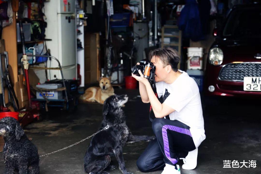 明星|“醉酒闯祸”的9位男明星，个个自我作死，没一个值得同情