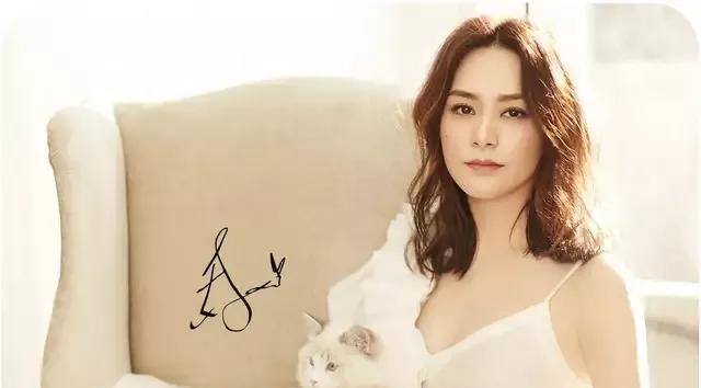 乘风破浪的姐姐|《乘风破浪的姐姐》三季88位明星大集合，明星美图欣赏