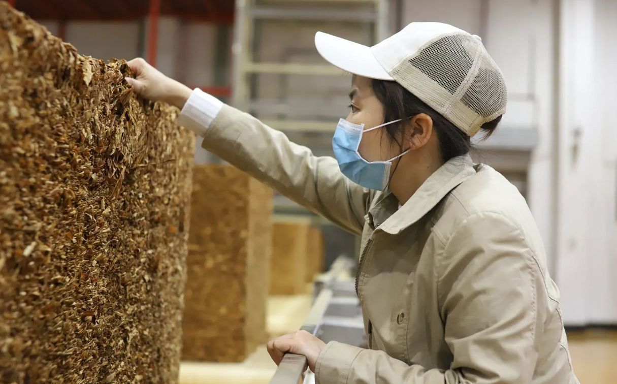大学生|一名大学生哭诉：还不如不读大学，就能心安理得去流水线了