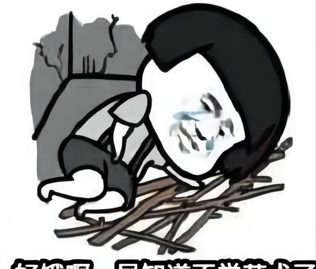 艺术生|艺术系女硕士心酸自嘲:“读书花了二十多万,月薪5000都难做到”