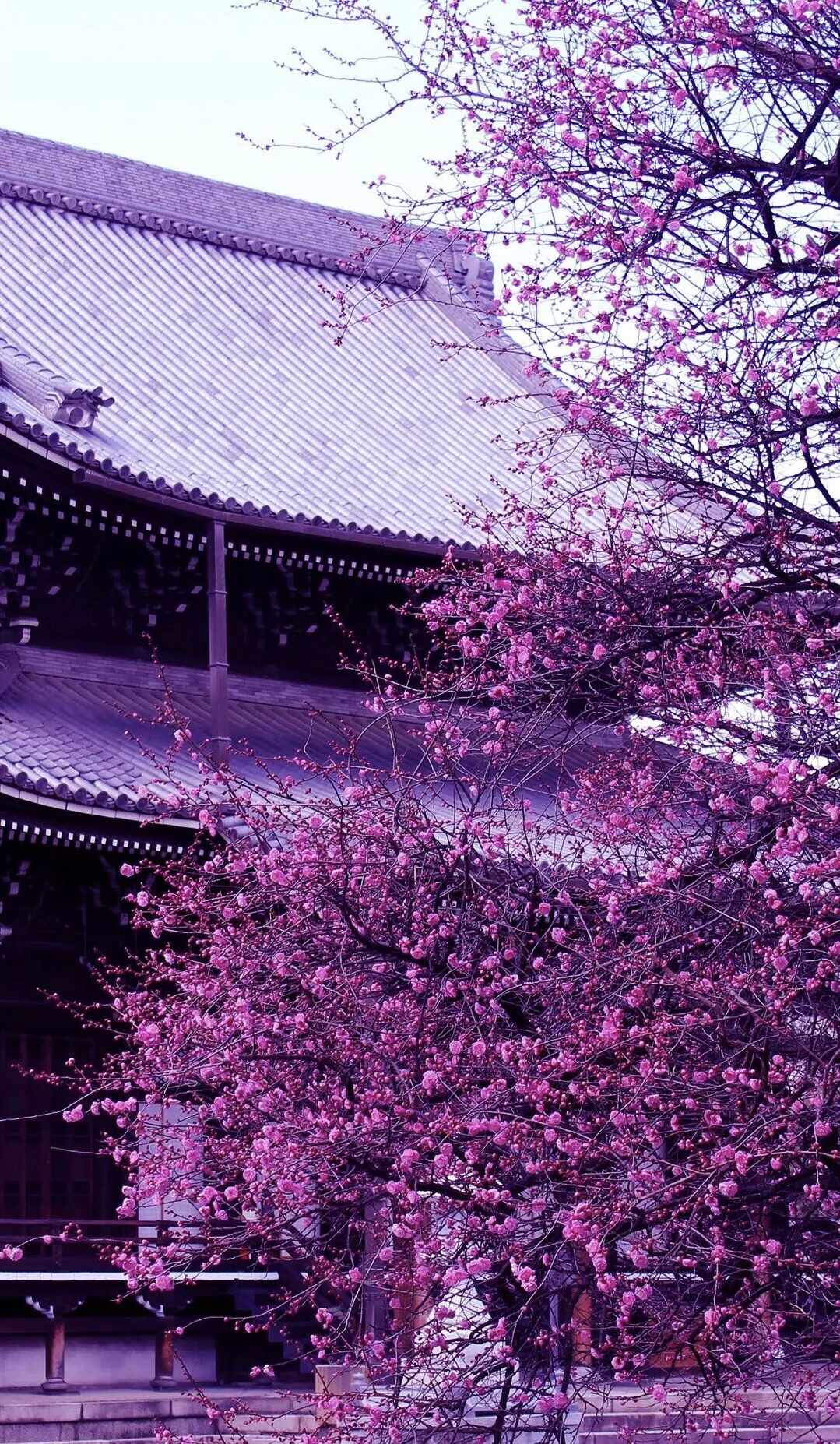 |正确思维引导美好人生