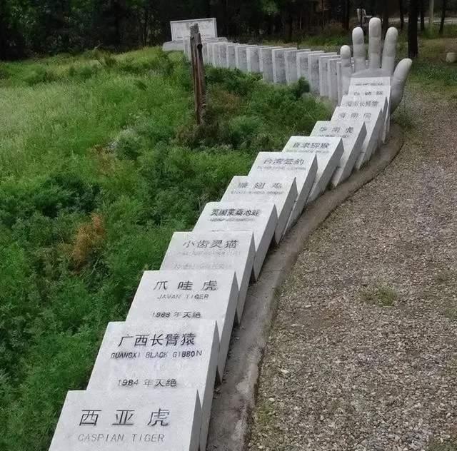 燕子是如何让人类一步步“爱”上它的?