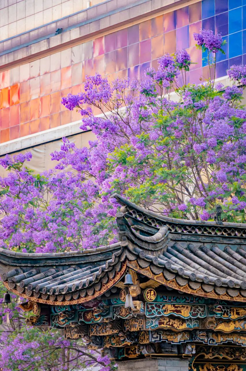 南京长江大桥|霸占“全国十大宜居城市”榜首，这个连汪曾祺都疯狂表白的城市，低调太久了