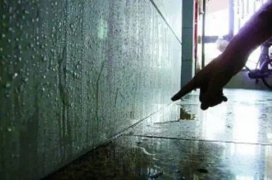 回南天到了,有什么祛湿小妙招?