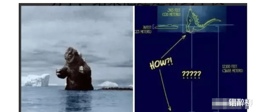 空军|“钓鱼的时候飞到我手上的，第一次见，有知道这是什么的吗？”