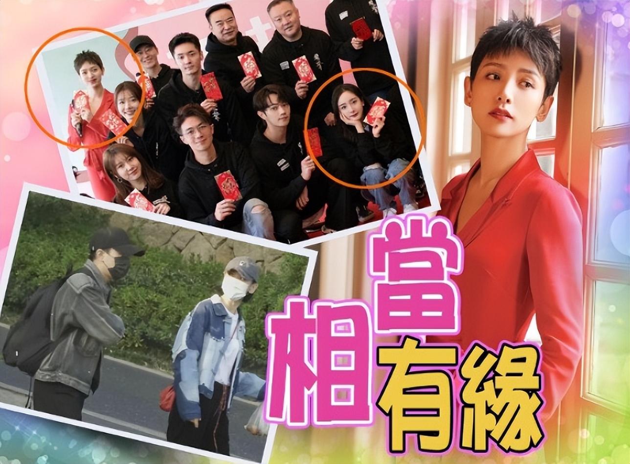 刘恺威|甜！刘恺威牵手女友合体现身，刘晓峰小鸟依人，两人已甜蜜同居