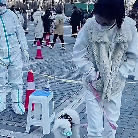 呼和浩特疫情,大家期盼久违的烟火气,又回来了