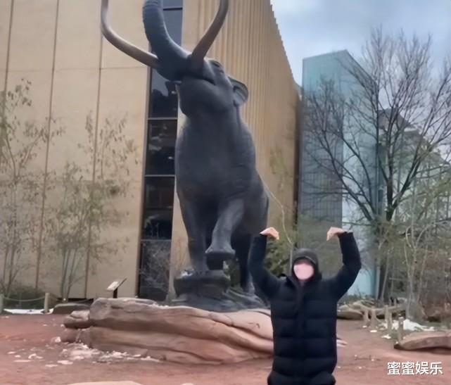 张翰|张翰首次谈妈妈，当演员不是他的选择，和前女友的家庭有着相似点