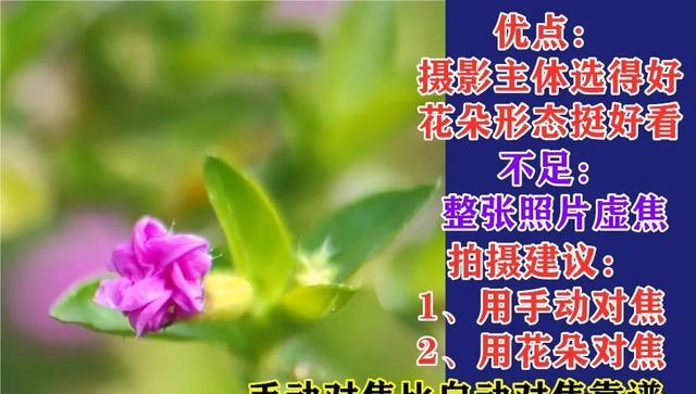 难怪拍照不好看,摄影坏习惯,毁掉好照片!正确的方法在后面