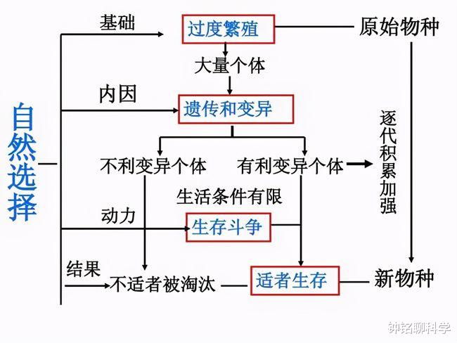 大多数雄性动物,交配与排尿是同一个器官,这是为了更方便吗?