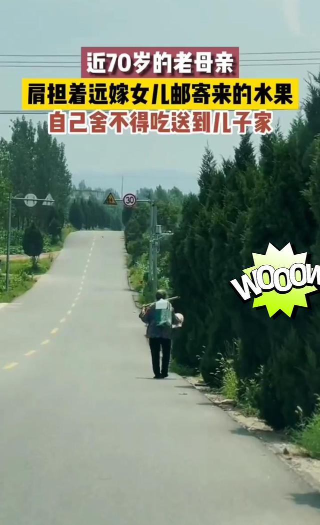 回顾七旬老人肩挑女儿邮寄的水果,她舍不得吃,顶着烈日送儿子家