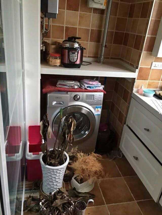 小姑子住我的单身公寓，不到半年糟蹋成猪窝，女人这么懒第一次见