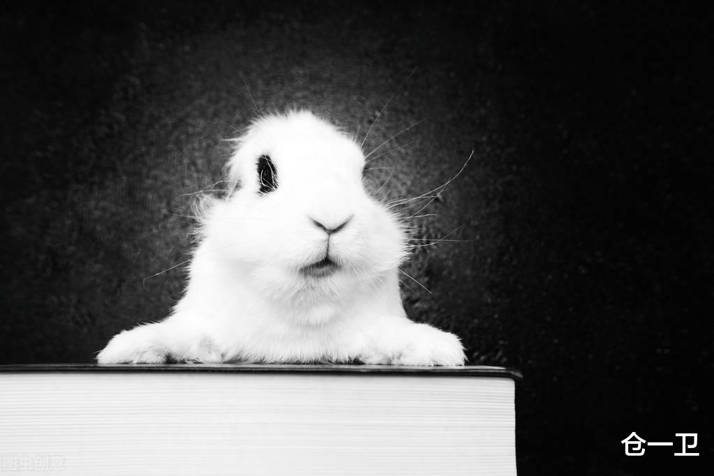 |三本大长篇精品小说,一本更比一本强,所谓书荒从此消失不见