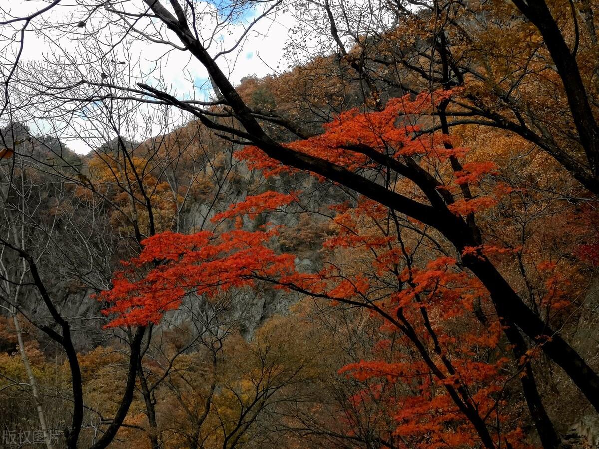 龙门峡|郭进拴|神游关门山