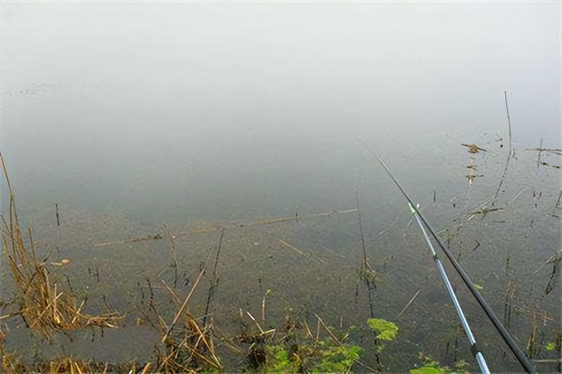 诈骗案|冬季钓鲫鱼,当出现这两种适钓天气时,建议钓友们不要放过
