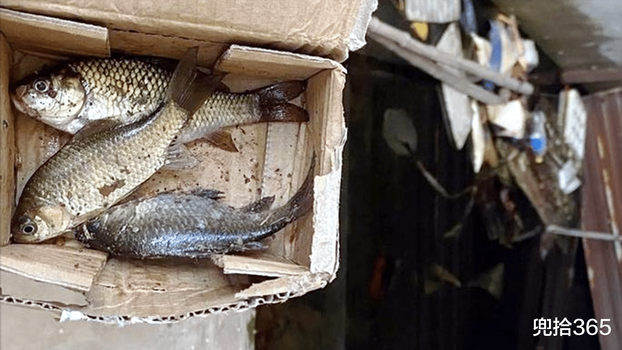 广东省|广东一男子火了，跑到地下车库去钓鱼，直接颠覆了常人的认知