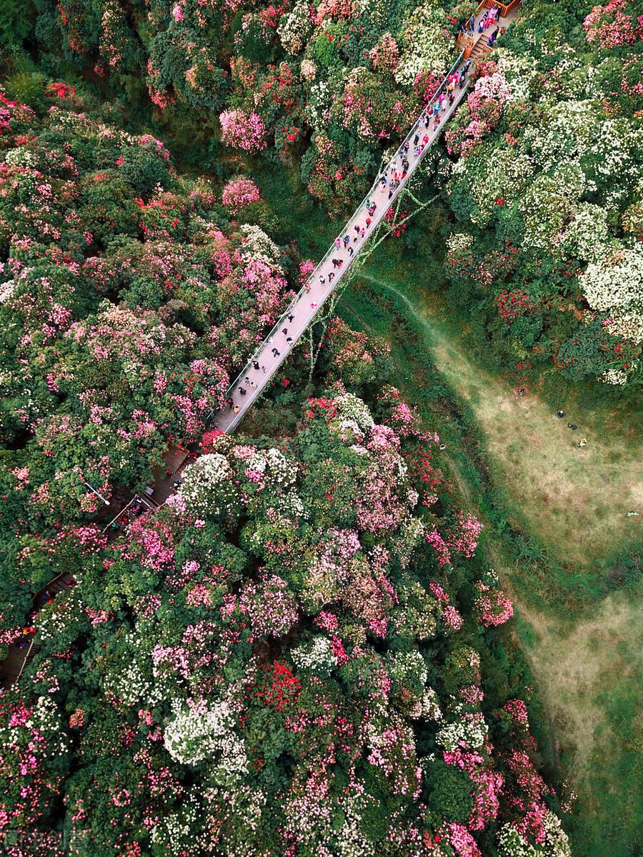 美丽|中国景观有多惊艳？这33个，去过一半，此生无憾，你去过哪几个？