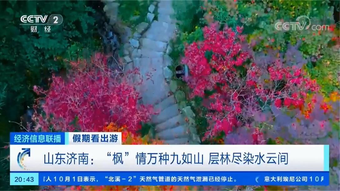 呼伦贝尔|被央视点赞的绝美赏秋地，马上迎来颜值巅峰，现在知道还不晚!