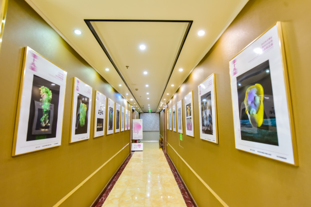 玉雕|特区里的玉文化展