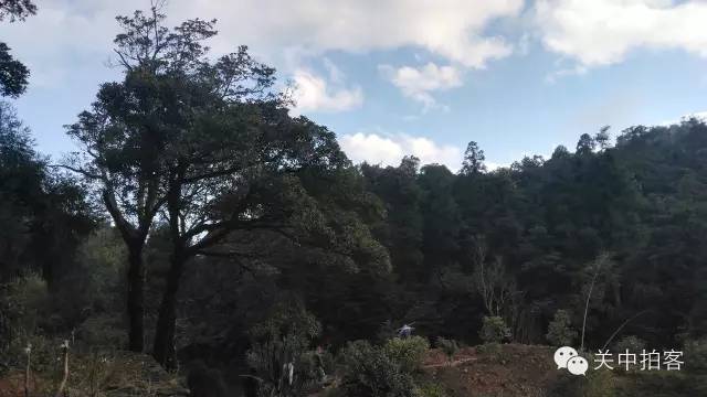 国兴寺考古记(2):海上仙都,云中考古