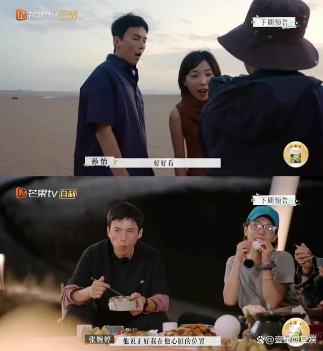 宋宁峰|「再见爱人2」宋宁峰妻子张婉婷疯狂表演招黑,实则在为宋宁峰翻红