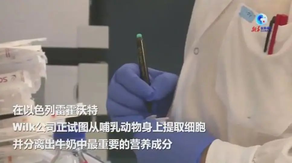 【科学强国】“人造奶”要来了! 能取代真牛奶吗?