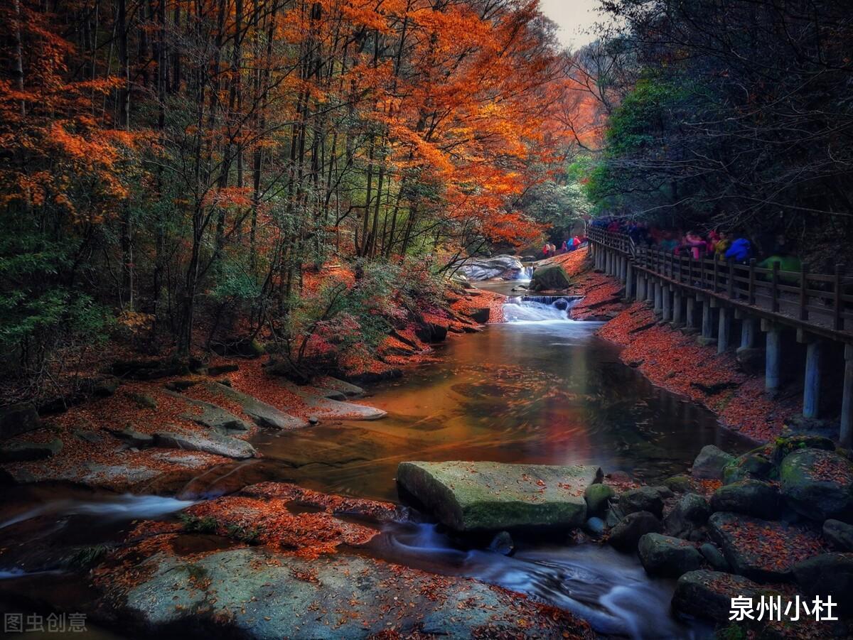 光雾山|中国红叶第一山，光雾山，瀑潭秀水、云蒸雾绕、胜景众多