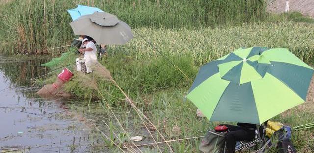 钓鱼忘记带遮阳伞,男子直接从山上就地取材,网友:越钓背后越凉