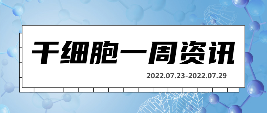 干细胞一周资讯(07.23-07.29)