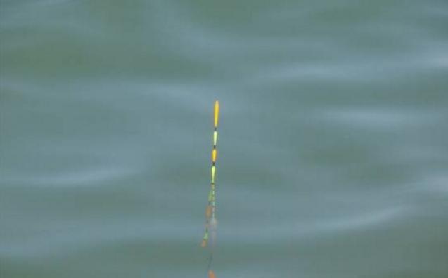 |野钓：不建议随时操作调钓，但这几种情况除外