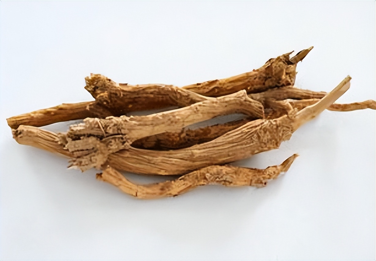 抗生素|黄连解毒丸，每个不想用抗生素的人，都应该知道的中成药