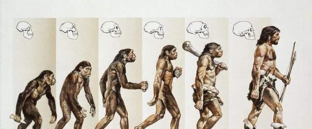 人类仍在进化,2020年研究:手臂长出新血管,会永久进化吗?