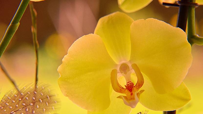 |你现在的工作总是经常加班吗?高手都为自己设定的下班时间。