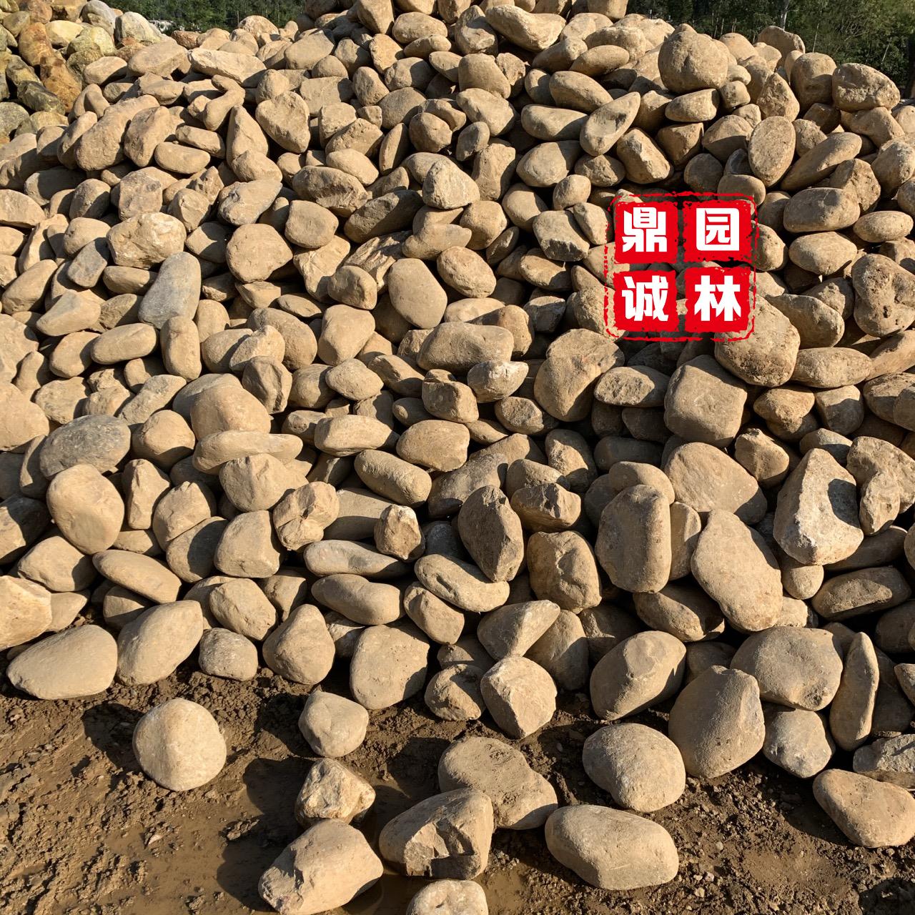 鹅卵石用在现代风格的花园中创意景观石材