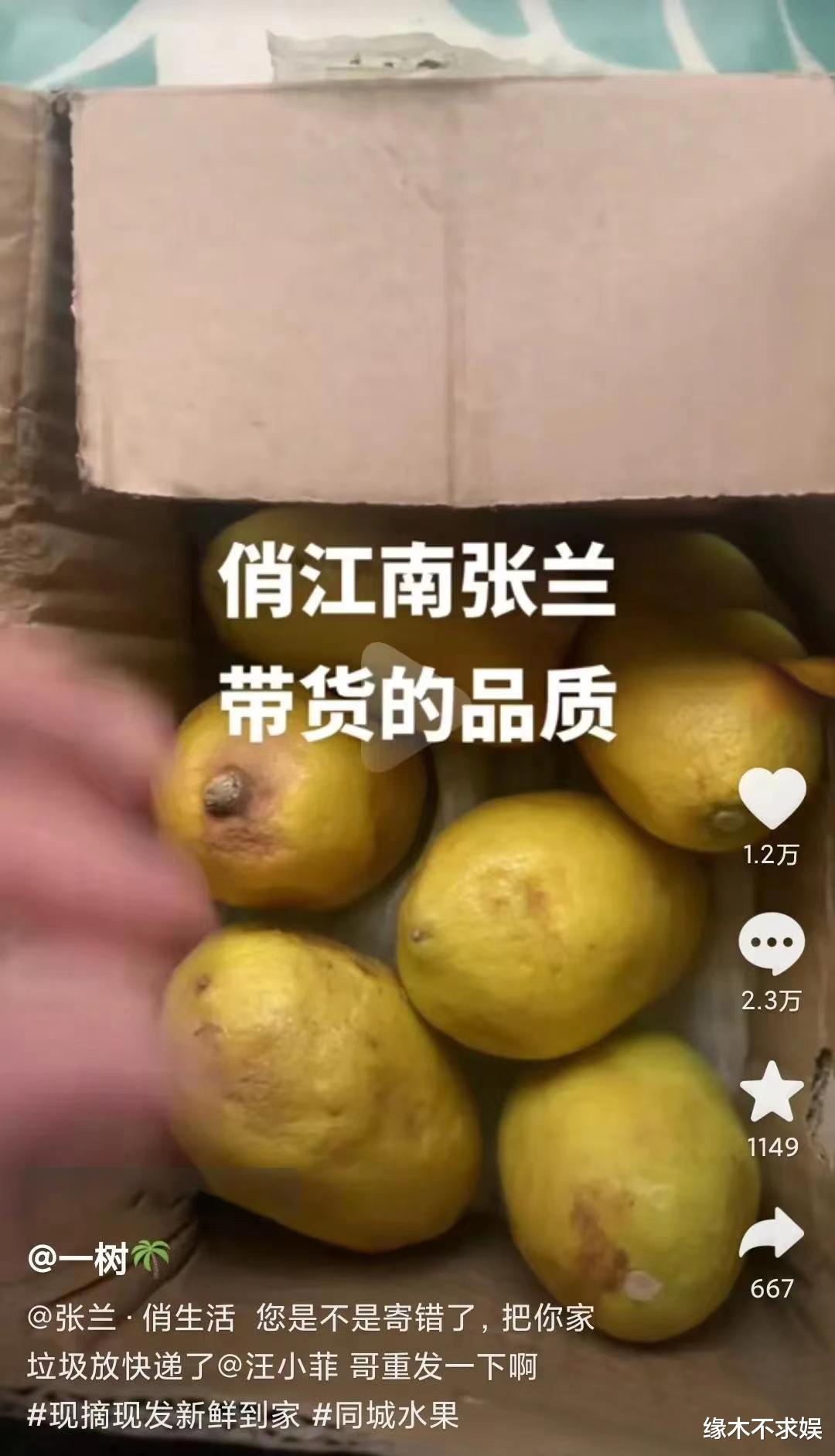 张兰|向太拒不道歉，正面回应“床垫梗”！张兰被投诉卖劣货自身难保！