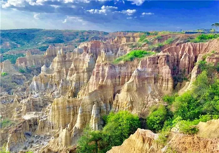 青岛市|青丘缘起，荷海芳华，除了荷花，你还能在普者黑看到什么？