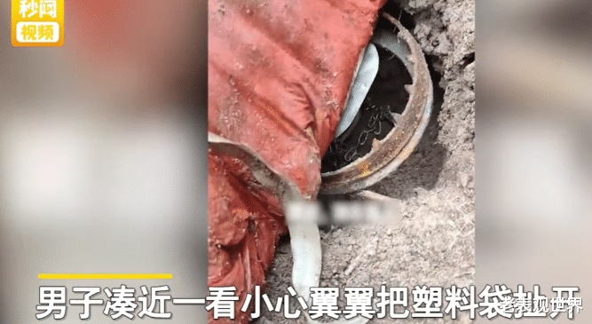 男子走在路上竟险些被夹断脚,田间小道上竟有一个捕兽夹!