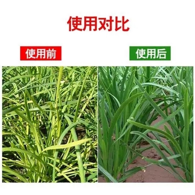 植物生长调节剂调控植物生长增强作物抗逆性