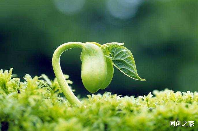 Java|面对,死于25岁,葬于75岁,我们该如何破解【蓝眼观察者-20220611-CP103】