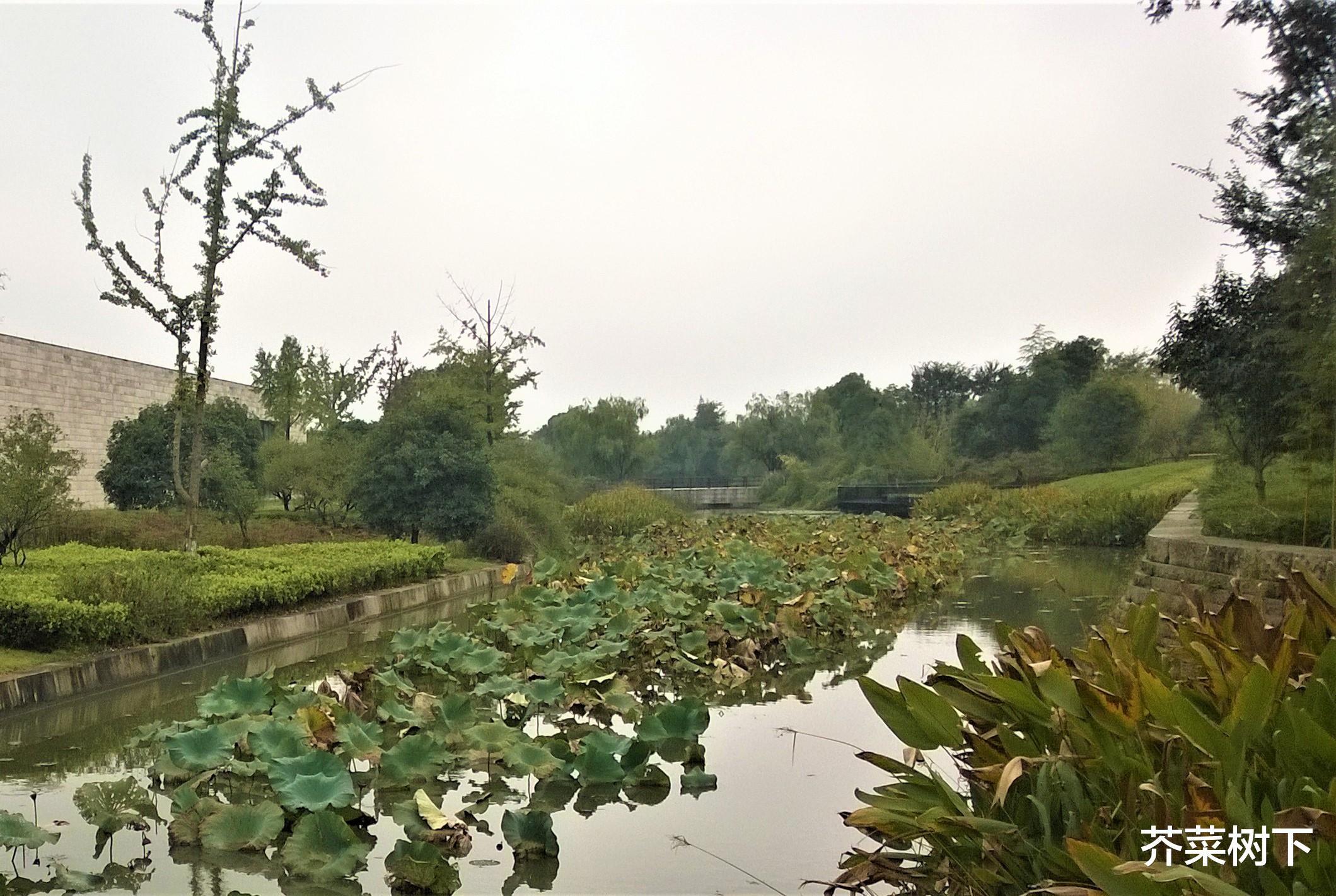 北京市|有理无理，都要解决问题