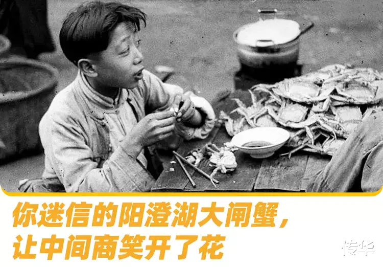 中国人,被阳澄湖大闸蟹骗了30年