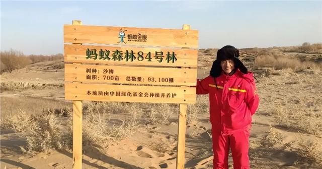 支付宝|19年马云承诺每年在沙漠里种1亿棵树,4年过去,现在树怎样了