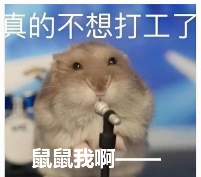 人际关系|“我，30岁，没存款，不打工了”：长期不上班是怎样的体验？