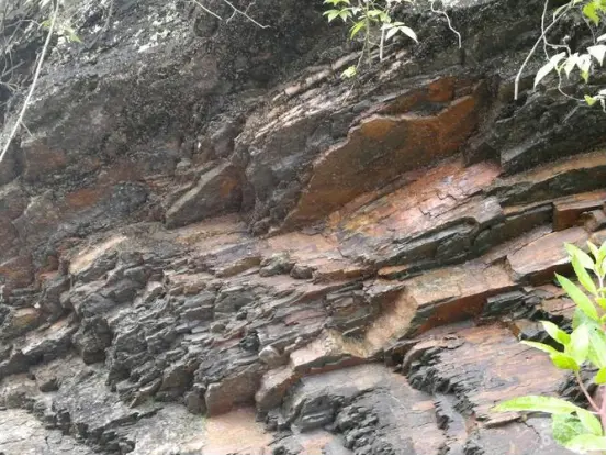 页岩气是种清洁能源，气体是如何进到岩层中的？需从5亿年前说起